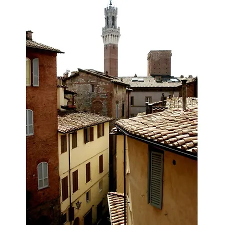 Il Tolomei - In The Middle Of Main Street Sienne